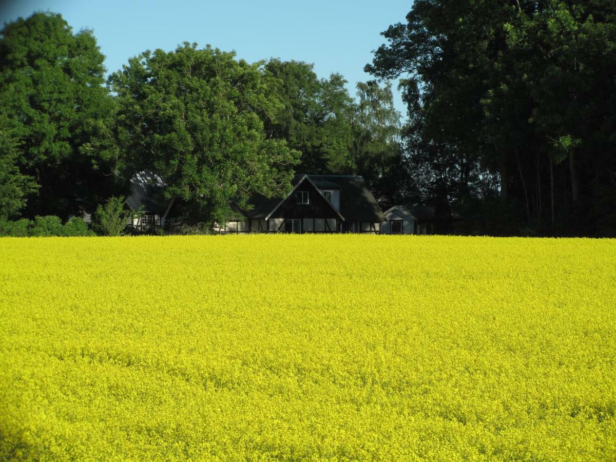 Smedsgarden Villa Höganäs Екстериор снимка
